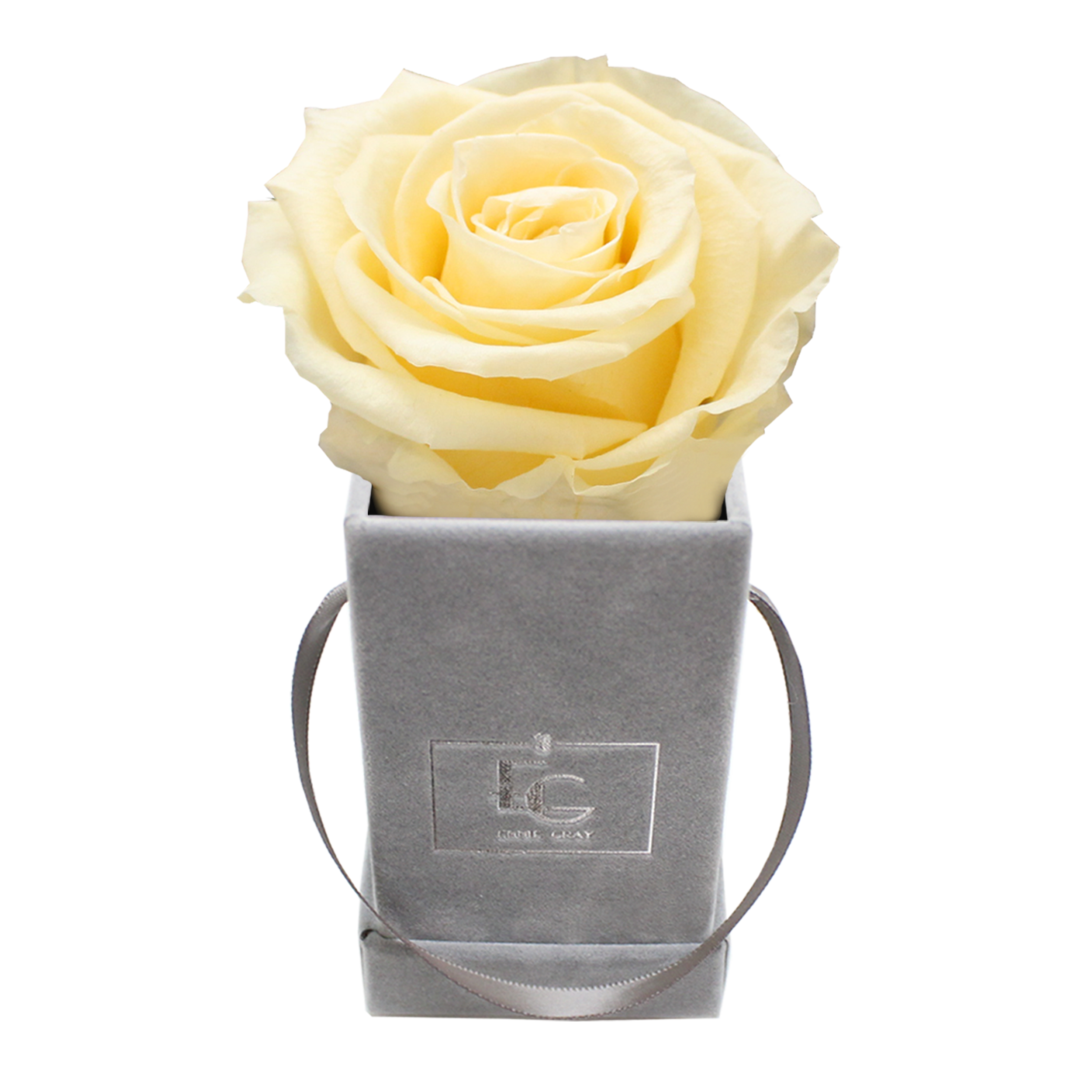 CLASSIC INFINITY ROSEBOX | CHAMPAGNE | XXS