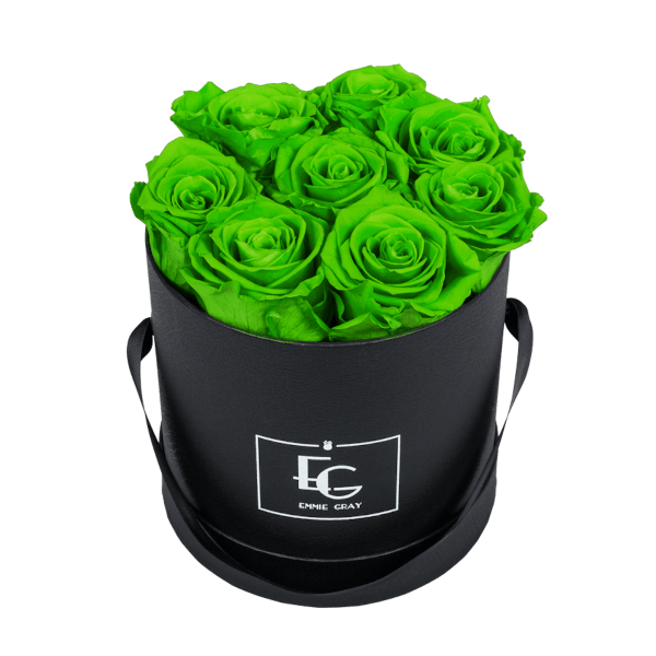 CLASSIC INFINITY ROSEBOX | GREEN GLOW | S