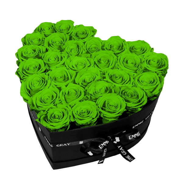 CLASSIC INFINITY ROSEBOX | GREEN GLOW | L