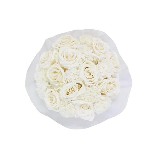 Splendid Carnation Infinity Rosebox | Pure White | S