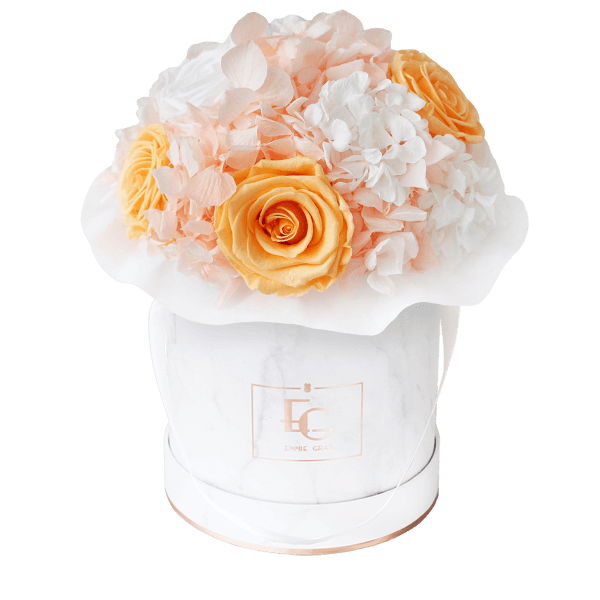 Splendid Hydrangea Mix Infinity Rosebox | Perfect Peach & Pure White | S