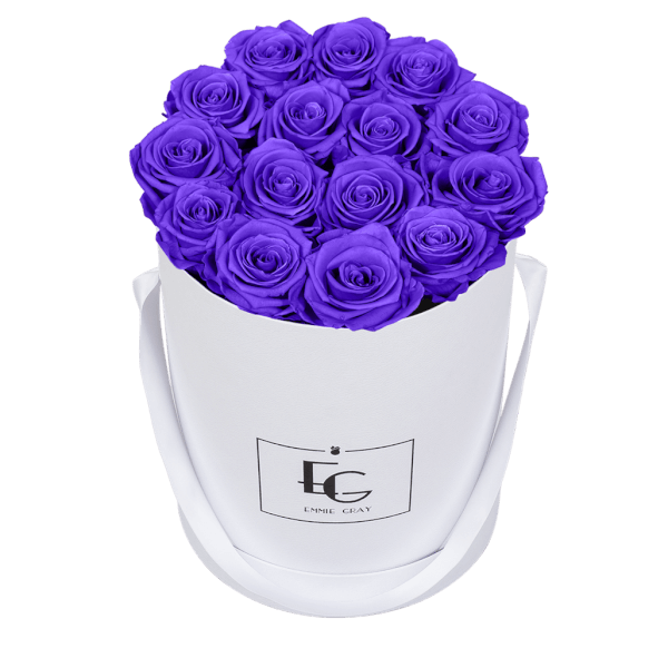 CLASSIC INFINITY ROSEBOX | VIOLET VAIN | M