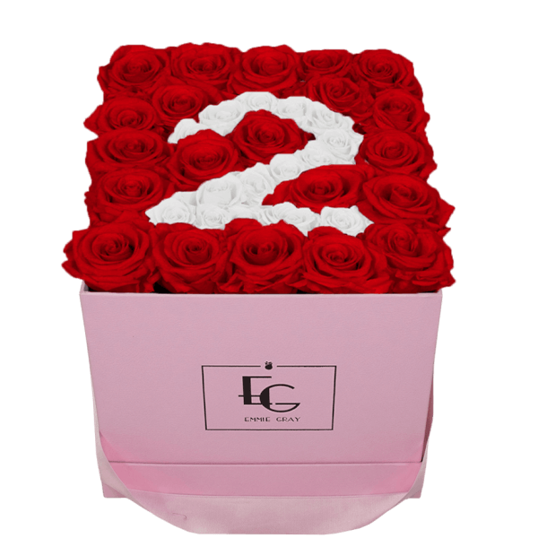 NUMBER INFINITY ROSEBOX | VIBRANT RED & PURE WHITE | M