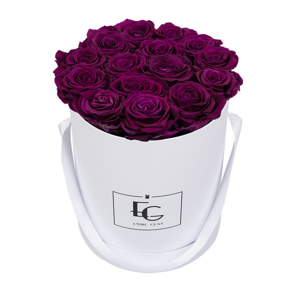 CLASSIC INFINITY ROSEBOX | VELVET PLUM | M