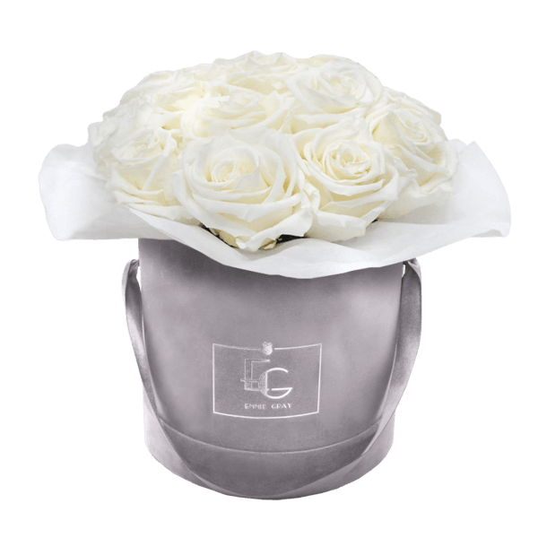 Splendid Infinity Rosebox | Pure White | S