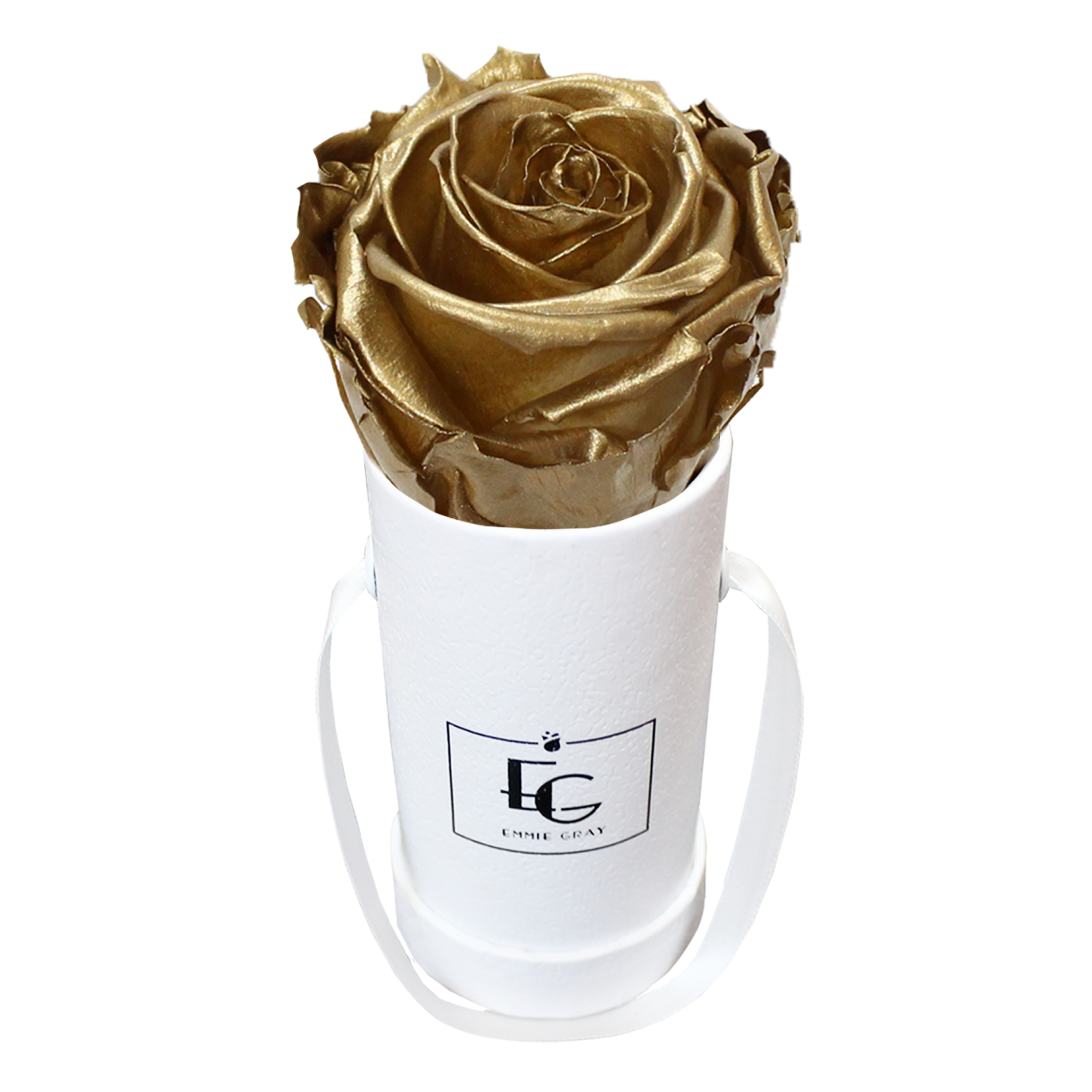 CLASSIC INFINITY ROSEBOX | GOLD | XXS CLASSIC INFINITY ROSEBOX | GOLD | XXS