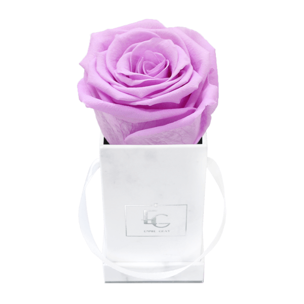 Classic Infinity Rosebox | Baby Lilli | XXS