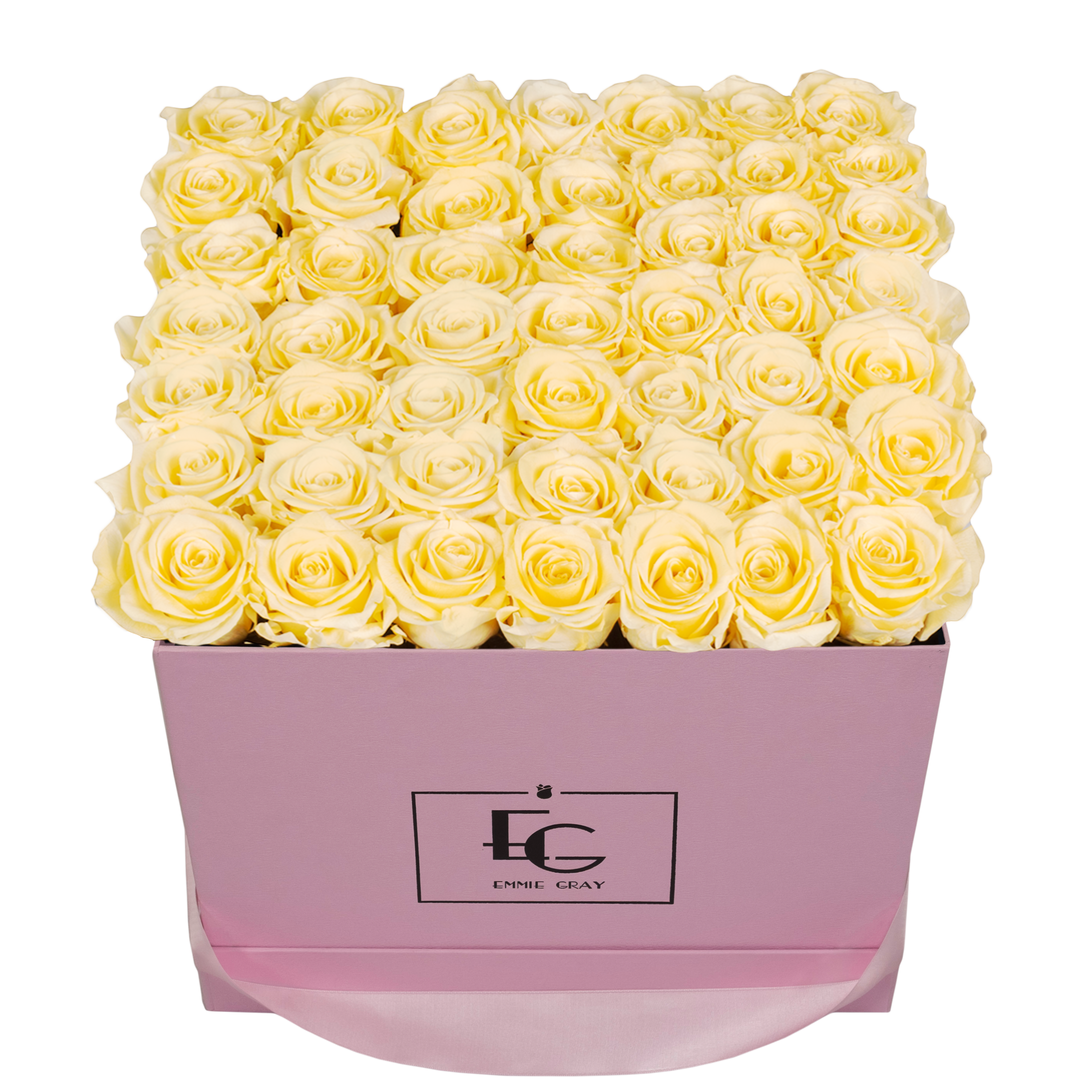 CLASSIC INFINITY ROSEBOX | CHAMPAGNE | L