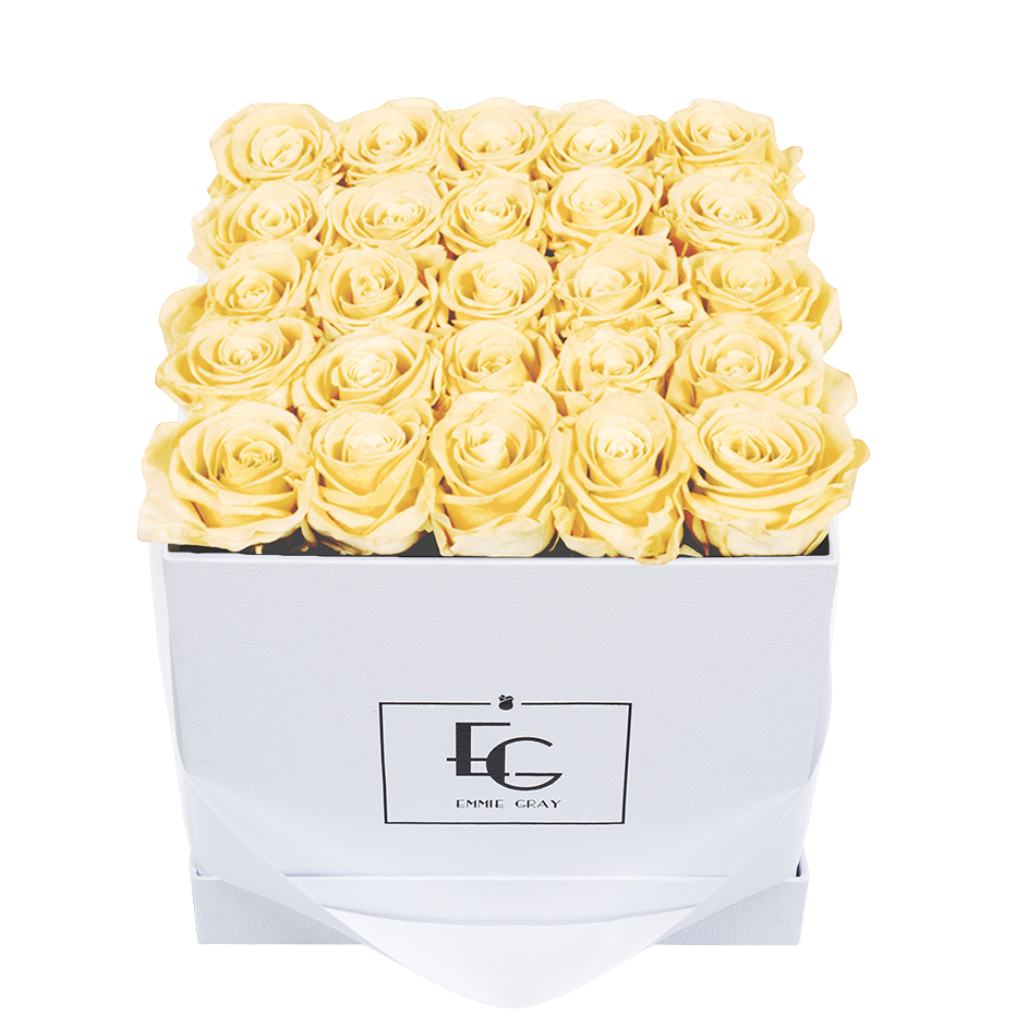 CLASSIC INFINITY ROSEBOX | CHAMPAGNE | M