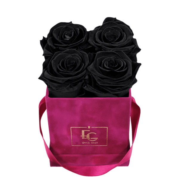 CLASSIC INFINITY ROSEBOX | BLACK BEAUTY | XS