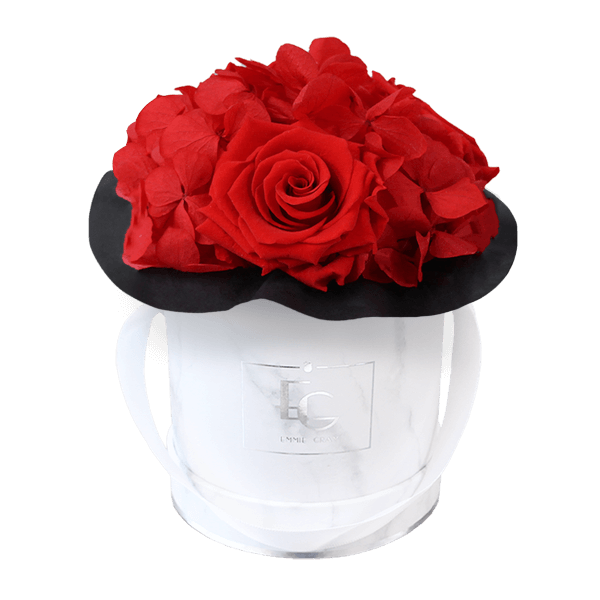 Splendid Hydrangea Infinity Rosebox | Vibrant Red | XS