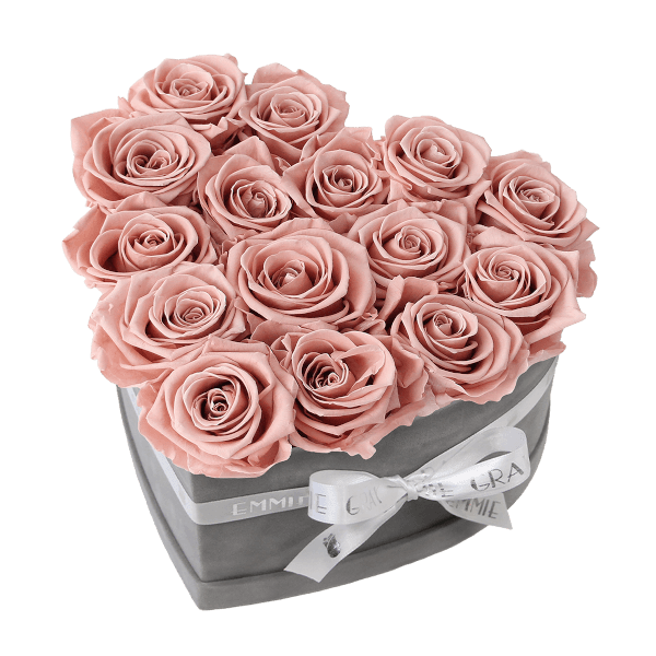 Classic Infinity Rosebox | Antique Pink | M