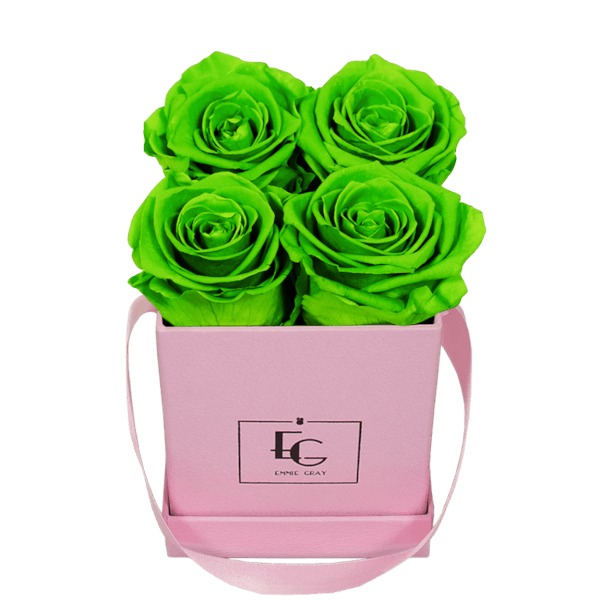 CLASSIC INFINITY ROSEBOX | GREEN GLOW | XS