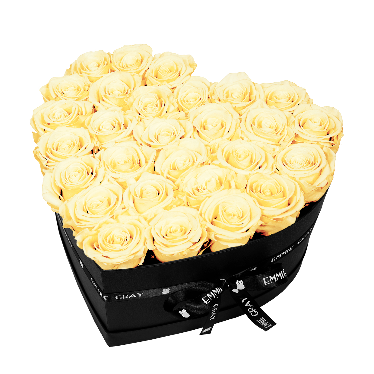 CLASSIC INFINITY ROSEBOX | CHAMPAGNE | L