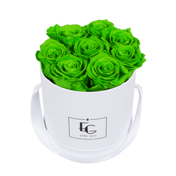 CLASSIC INFINITY ROSEBOX | GREEN GLOW | S