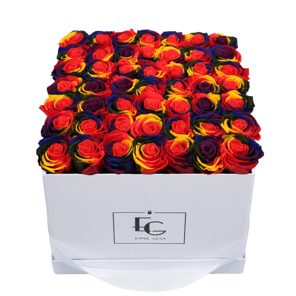 CLASSIC INFINITY ROSEBOX | RAINBOW | L