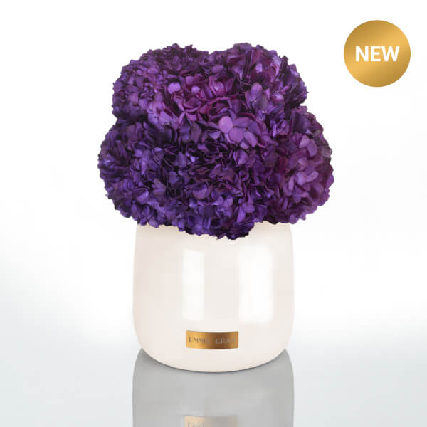 Premium Metallic Signature Hydrangea Infinity | Violet Vain | L