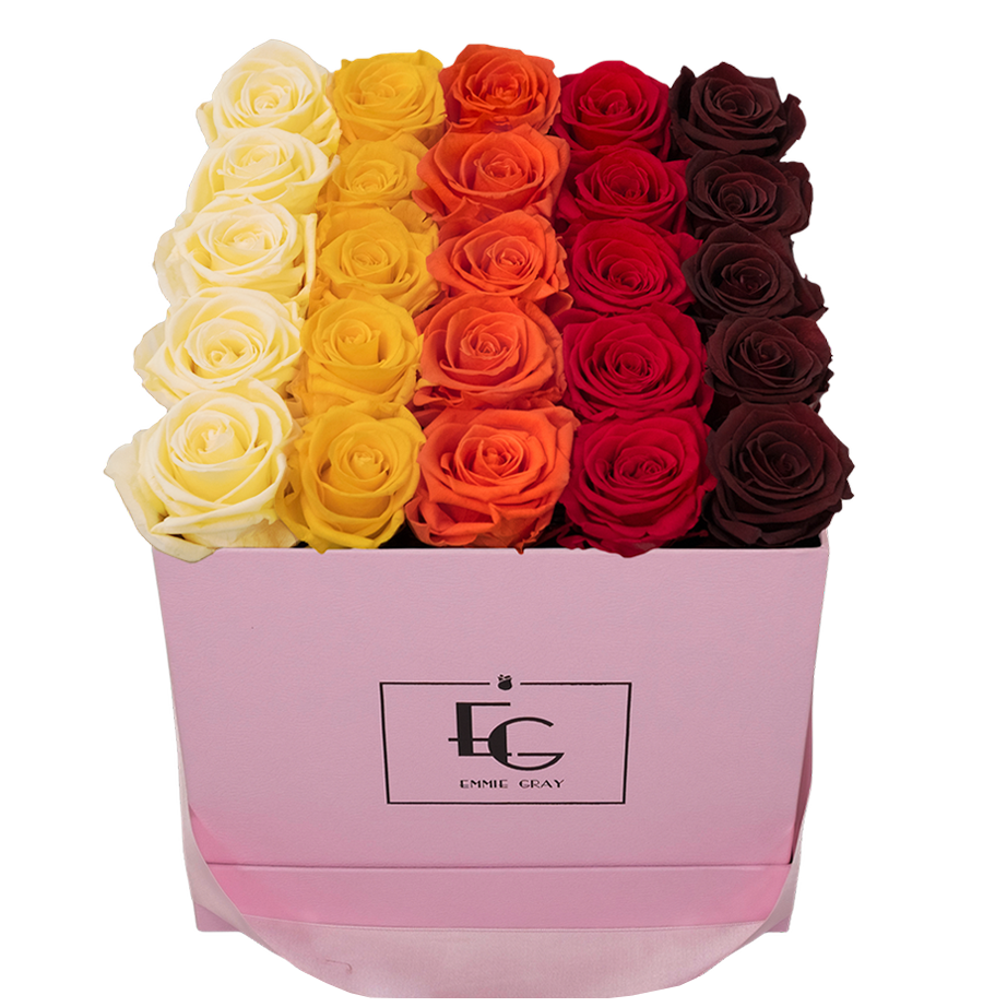 SHADES INFINITY ROSEBOX | CHAMPAGNE & PERFECT PEACH & ORANGE FLAME & VIBRANT RED & BURGUNDY | M