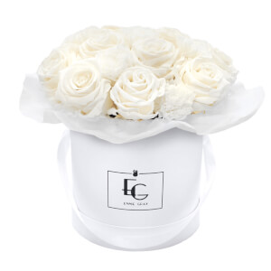Preview: SPLENDID CARNATION INFINITY ROSEBOX | PURE WHITE | S Preview: SPLENDID CARNATION INFINITY ROSEBOX | PURE WHITE | S