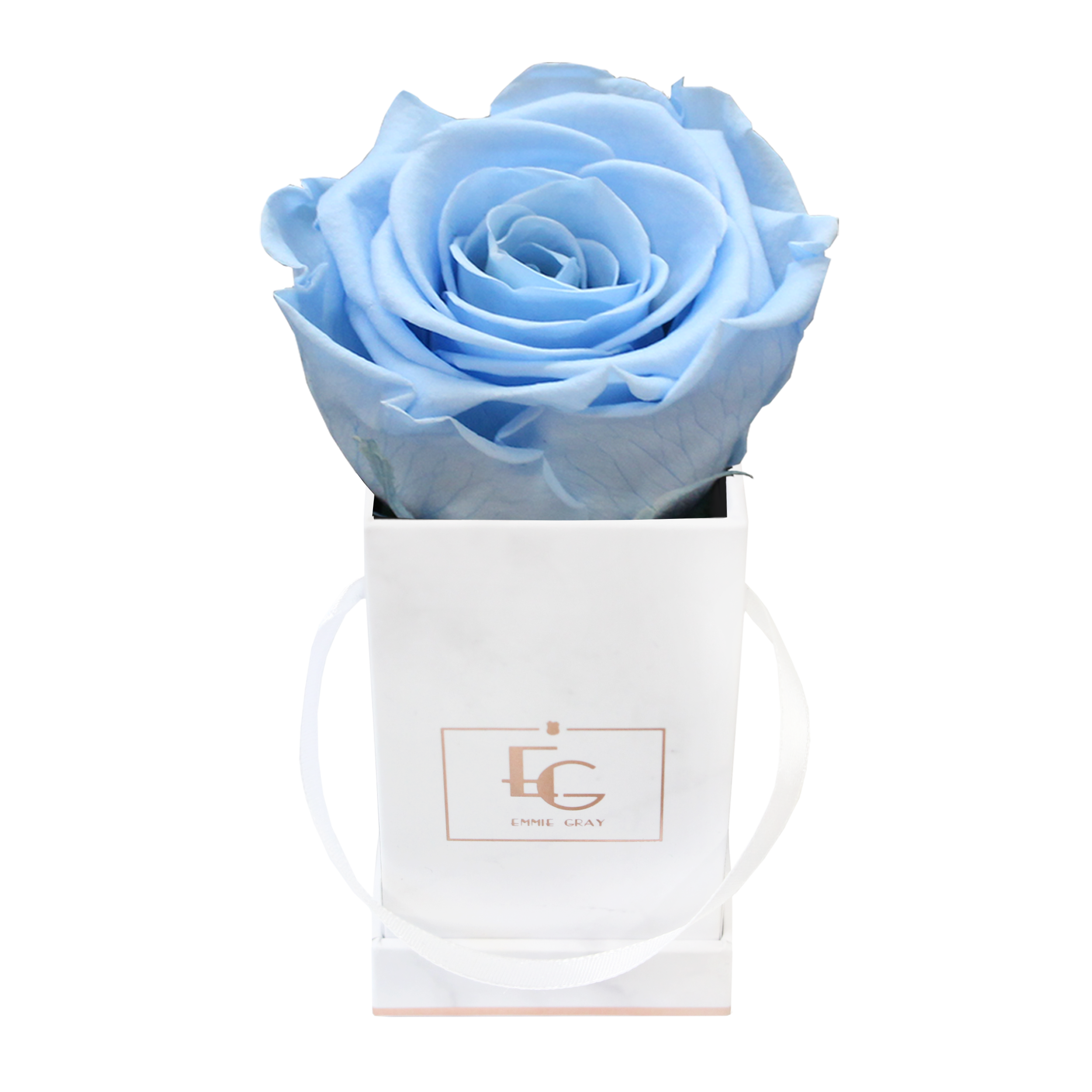 Classic Infinity Rosebox | Baby Blue | XXS