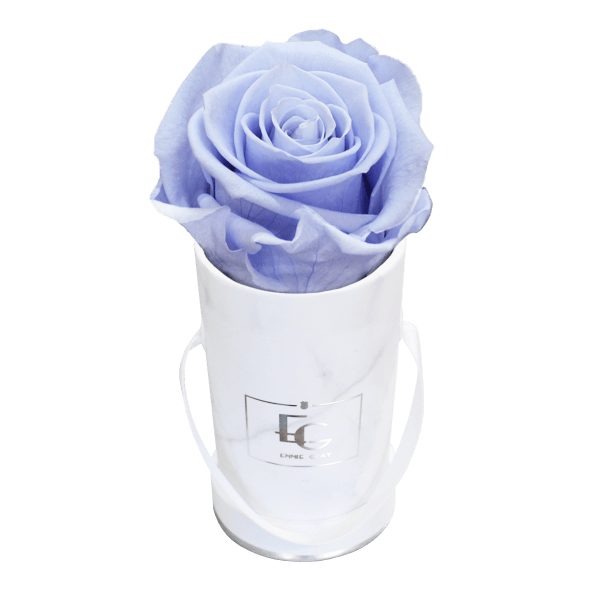 CLASSIC INFINITY ROSEBOX | COOL LAVENDER | XXS