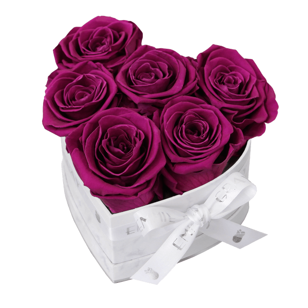 Classic Infinity Rosebox | Velvet Plum | S