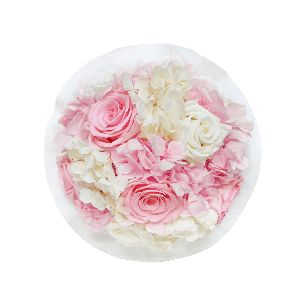 Splendid Hydrangea Mix Infinity Rosebox | Bridal Pink & Pure White | S