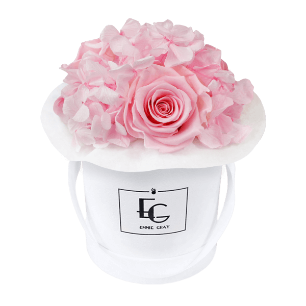 Splendid Hydrangea Infinity Rosebox | Bridal Pink | XS