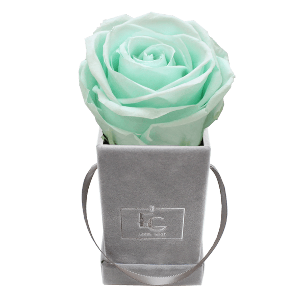 CLASSIC INFINITY ROSEBOX | MINTY GREEN | XXS