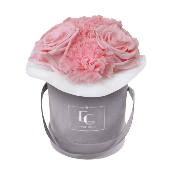 SPLENDID CARNATION INFINITY ROSEBOX | BRIDAL PINK | XS