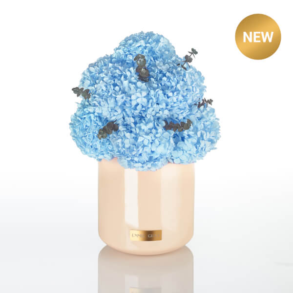 Premium Metallic Signature Hydrangea Infinity | Baby Blue | L