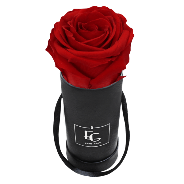 CLASSIC INFINITY ROSEBOX | VIBRANT RED | XXS