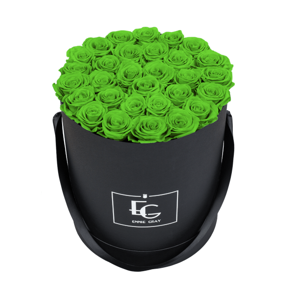 CLASSIC INFINITY ROSEBOX | GREEN GLOW | L