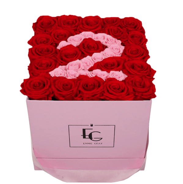 NUMBER INFINITY ROSEBOX | VIBRANT RED & BRIDAL PINK | M