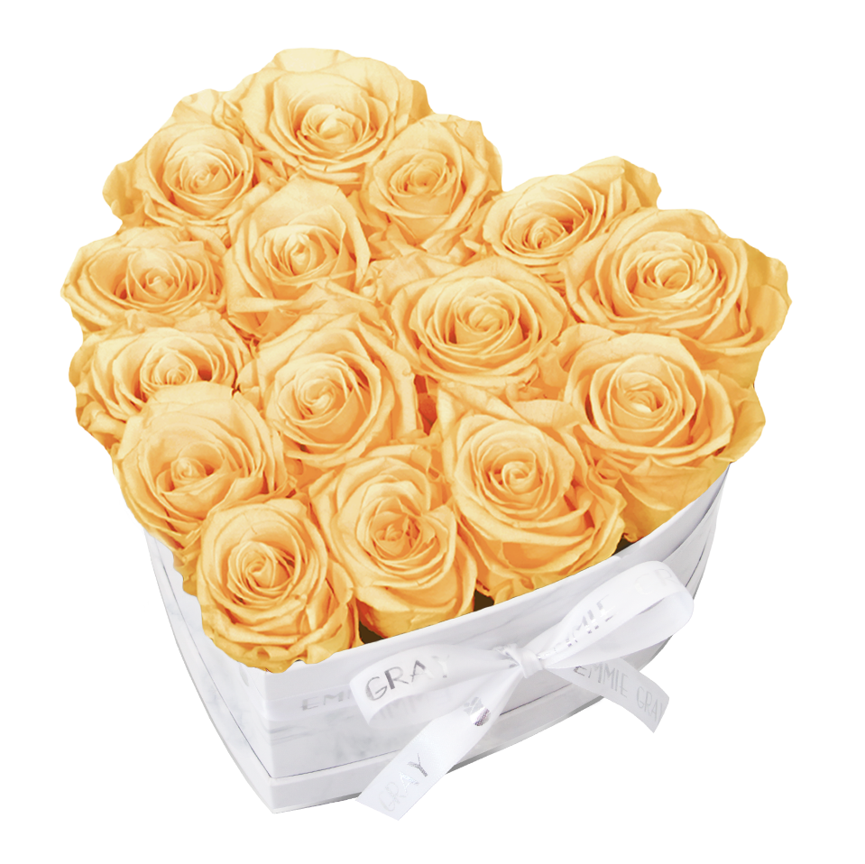 Classic Infinity Rosebox | Champagne | M
