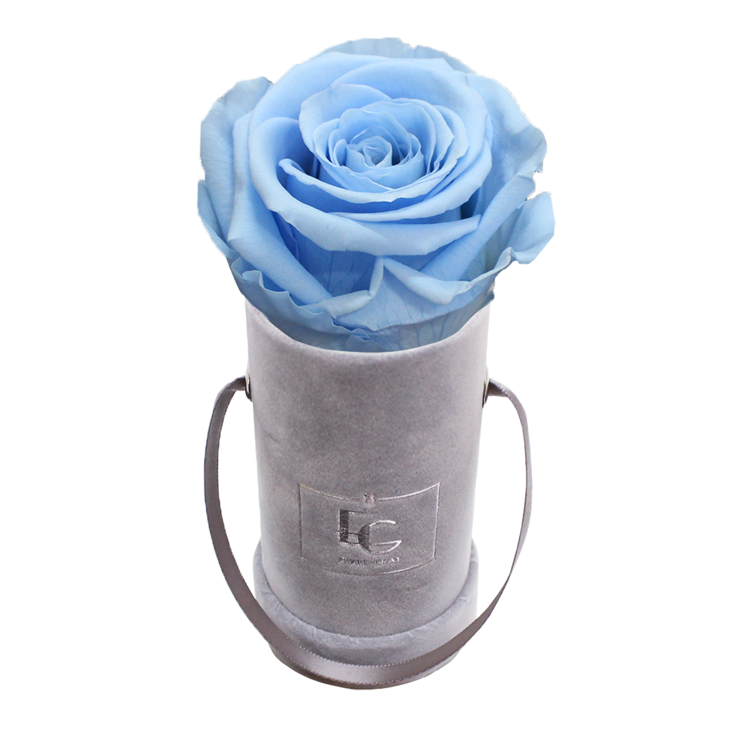 CLASSIC INFINITY ROSEBOX | BABY BLUE | XXS