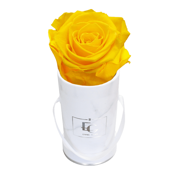 CLASSIC INFINITY ROSEBOX | SUNNY YELLOW | XXS