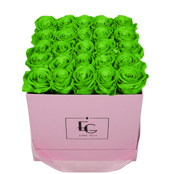 CLASSIC INFINITY ROSEBOX | GREEN GLOW | M