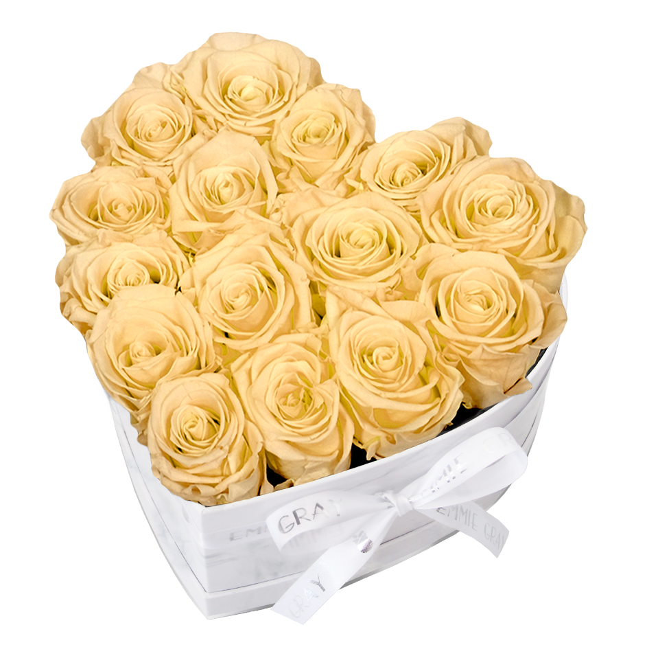 Classic Infinity Rosebox | Perfect Peach | M