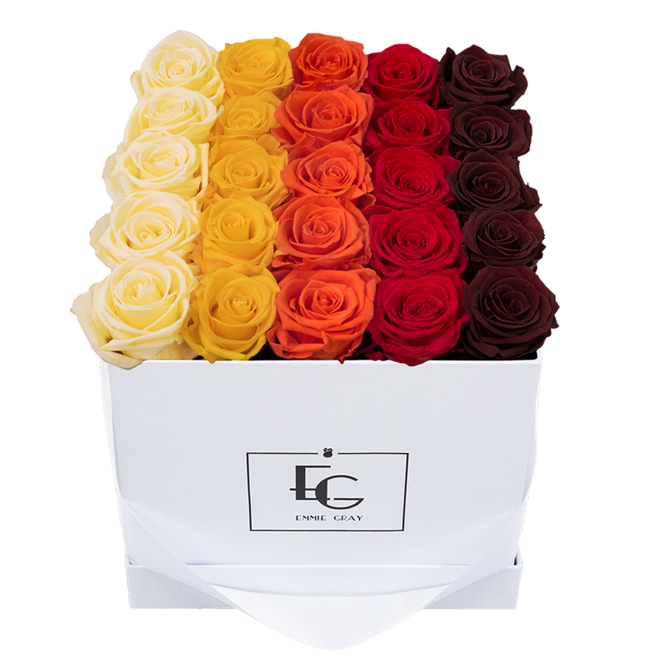 SHADES INFINITY ROSEBOX | CHAMPAGNE & PERFECT PEACH & ORANGE FLAME & VIBRANT RED & BURGUNDY