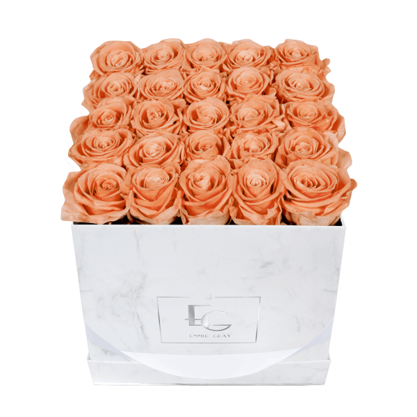 Classic Infinity Rosebox | Perfect Peach | M