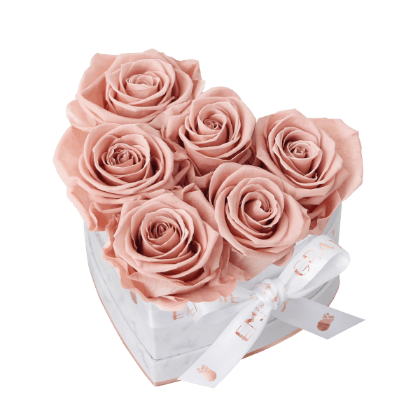 Classic Infinity Rosebox | Antique Pink | S