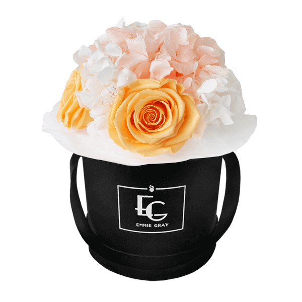 Splendid Hydrangea Mix Infinity Rosebox | Perfect Peach & Pure White | XS