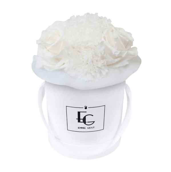 SPLENDID CARNATION INFINITY ROSEBOX | PURE WHITE | XS