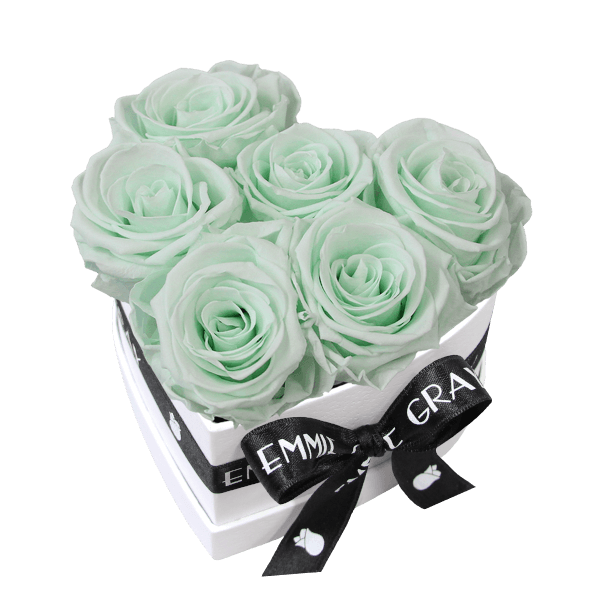 Classic Infinity Rosebox | Minty Green | S