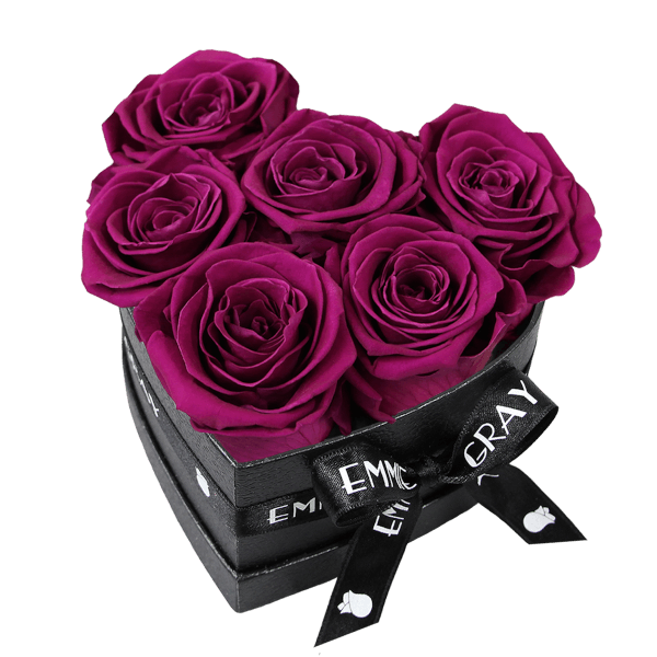 Classic Infinity Rosebox | Velvet Plum | S