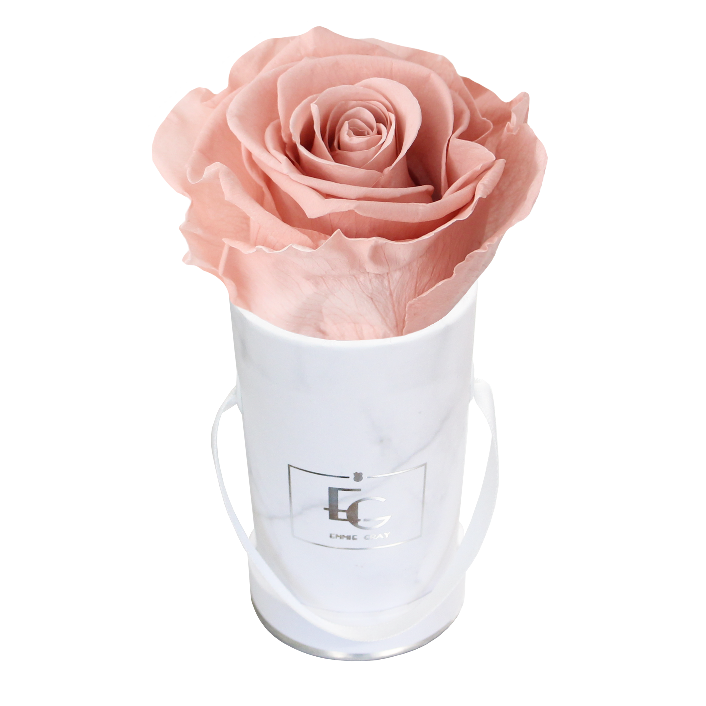 Classic Infinity Rosebox | Antique Pink | XXS