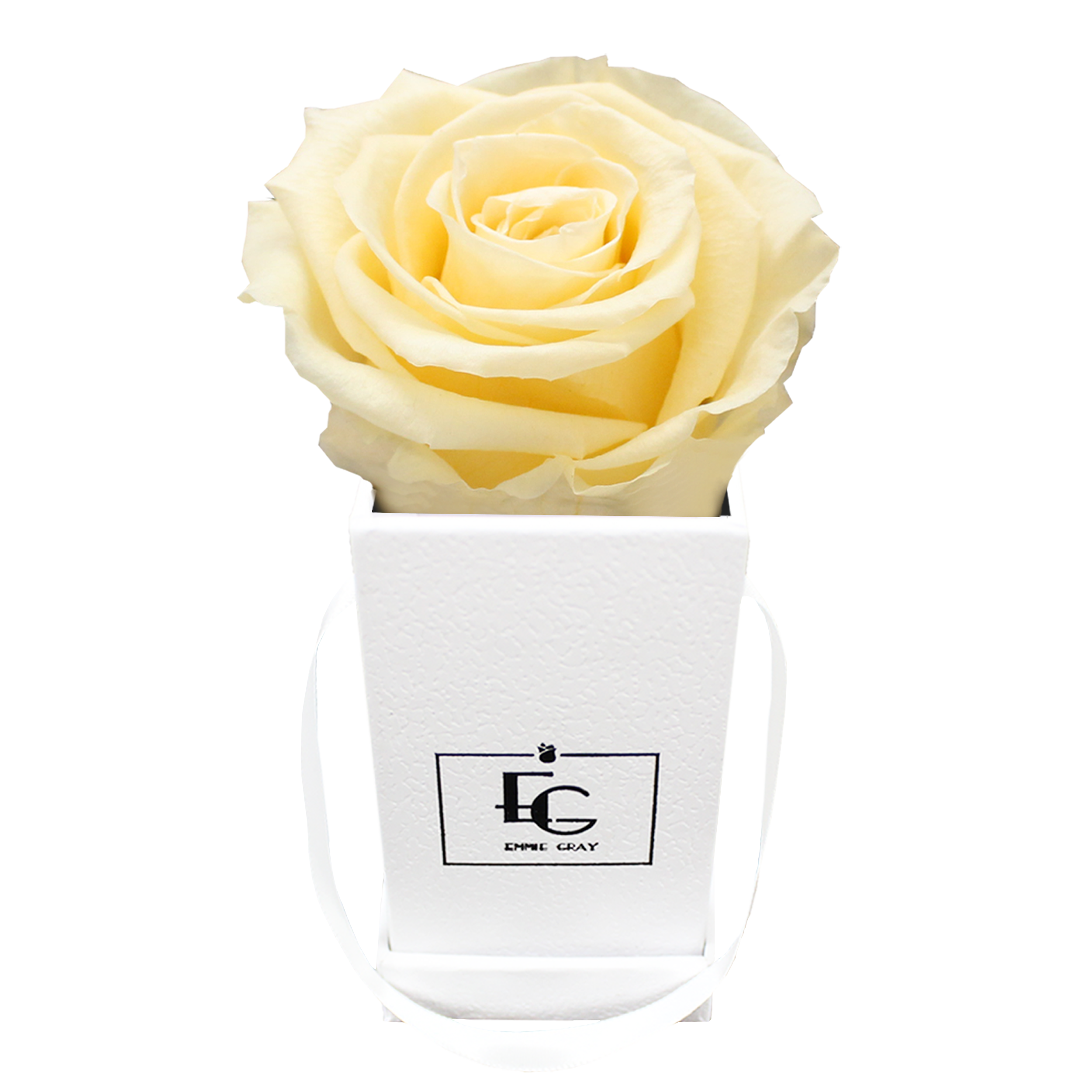 CLASSIC INFINITY ROSEBOX | CHAMPAGNE | XXS