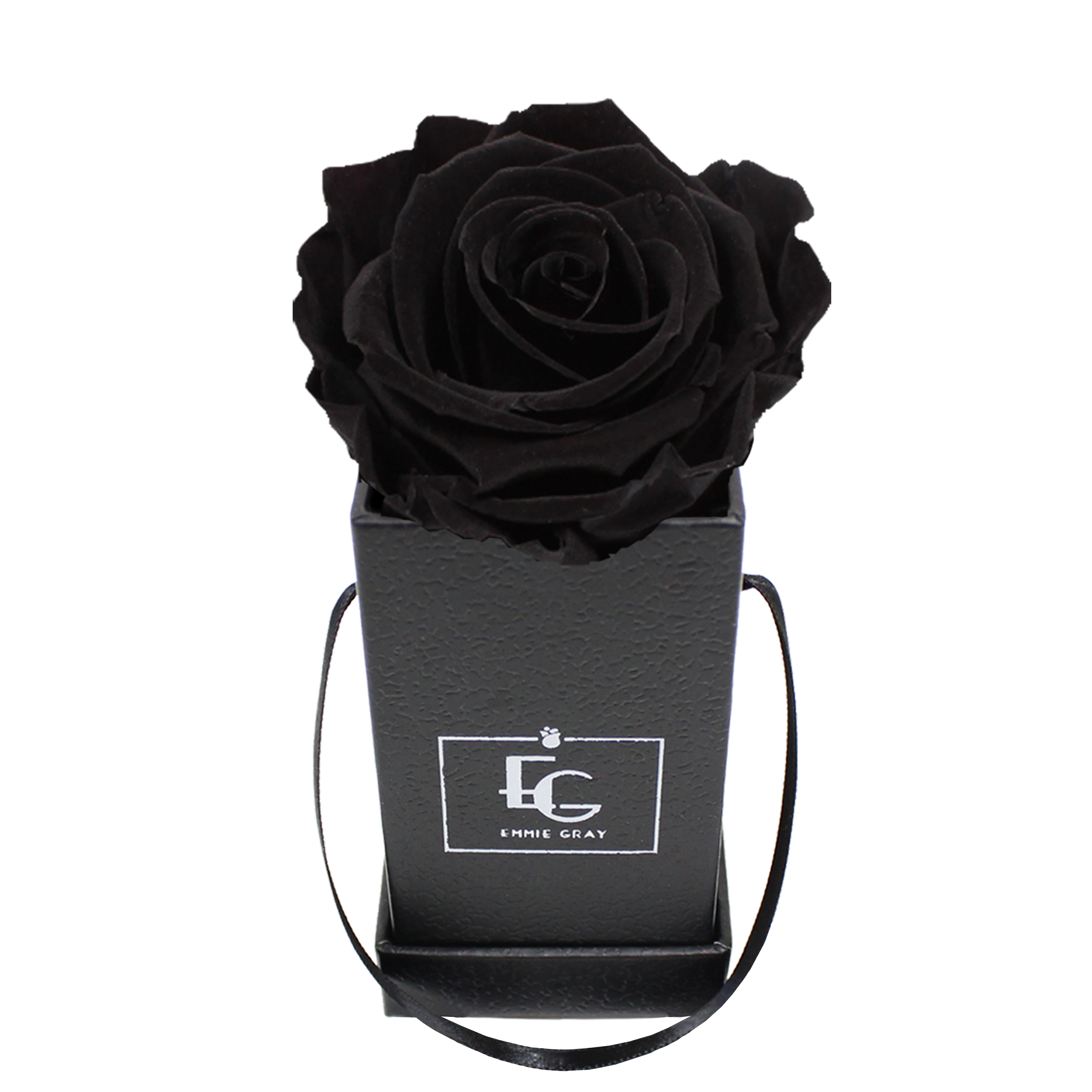 CLASSIC INFINITY ROSEBOX | BLACK BEAUTY | XXS
