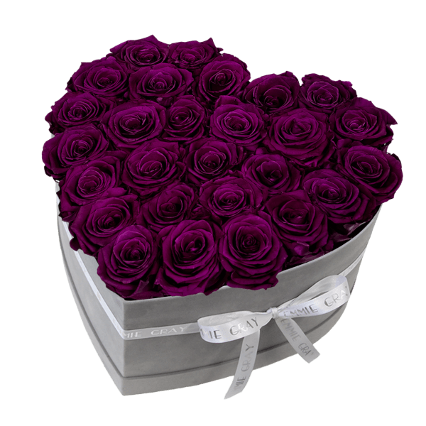 Classic Infinity Rosebox | Velvet Plum | L